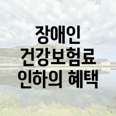 장애인 건강보험료 인하의 혜택