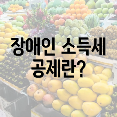 장애인 소득세 공제란?