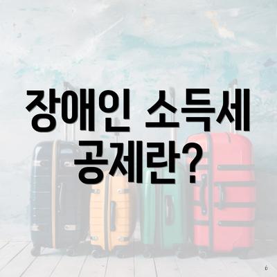 장애인 소득세 공제란?