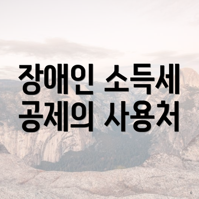 장애인 소득세 공제의 사용처