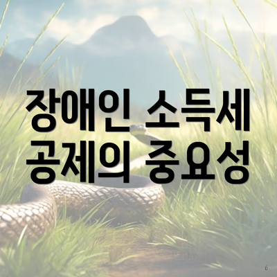 장애인 소득세 공제의 중요성