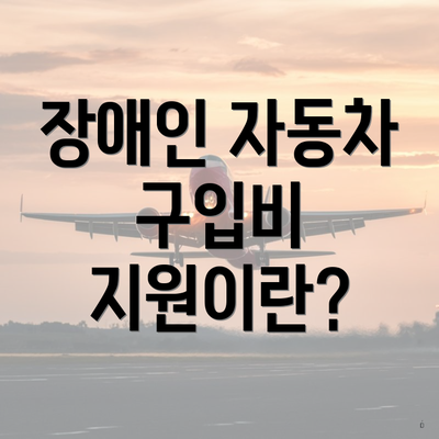 장애인 자동차 구입비 지원이란?