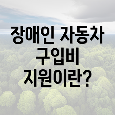 장애인 자동차 구입비 지원이란?