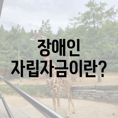 장애인 자립자금이란?