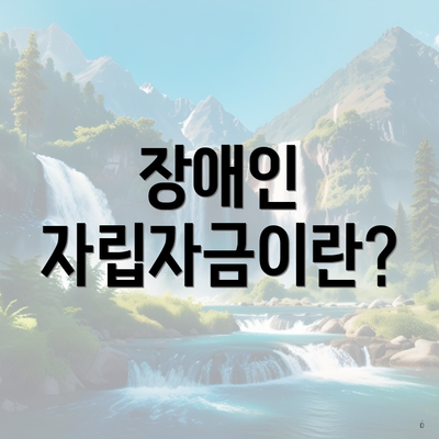 장애인 자립자금이란?
