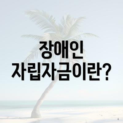 장애인 자립자금이란?