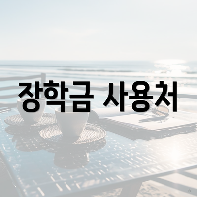장학금 사용처