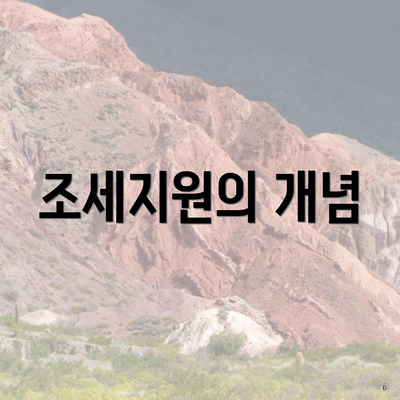 조세지원의 개념