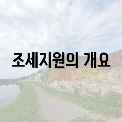 조세지원의 개요