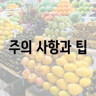 주의 사항과 팁