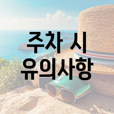 주차 시 유의사항