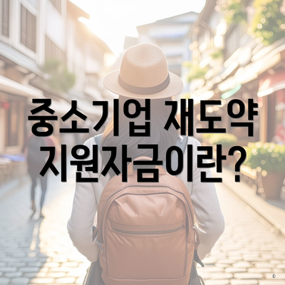 중소기업 재도약지원자금이란?