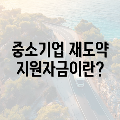 중소기업 재도약지원자금이란?