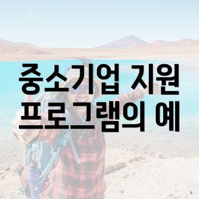 중소기업 지원 프로그램의 예