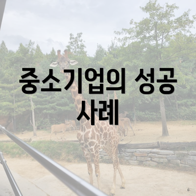 중소기업의 성공 사례