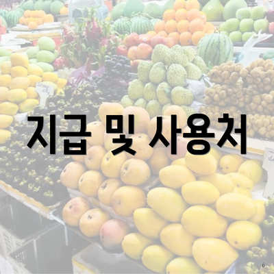 지급 및 사용처