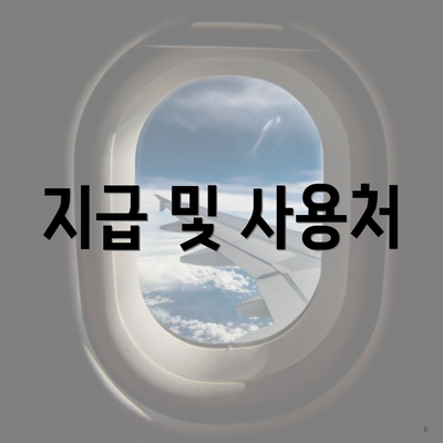 지급 및 사용처