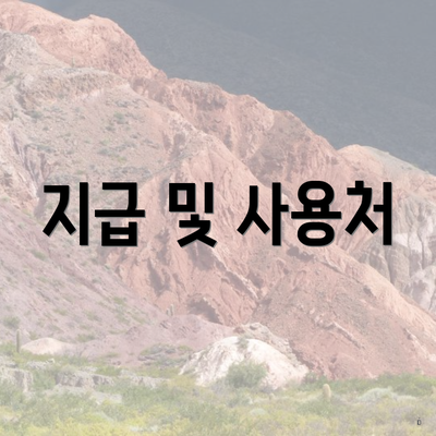 지급 및 사용처