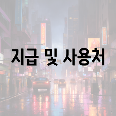 지급 및 사용처