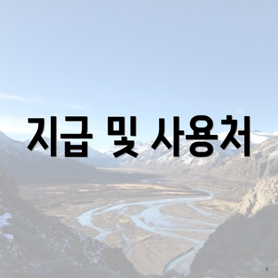 지급 및 사용처