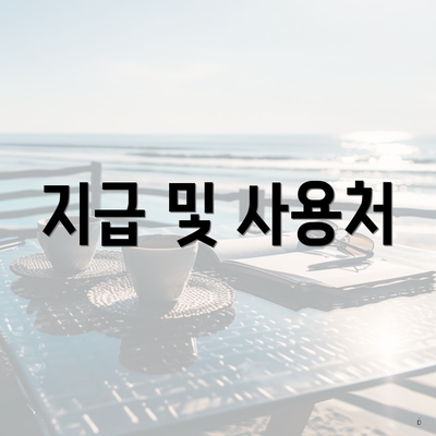 지급 및 사용처
