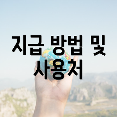지급 방법 및 사용처