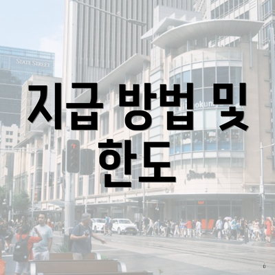 지급 방법 및 한도