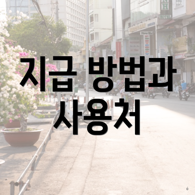 지급 방법과 사용처