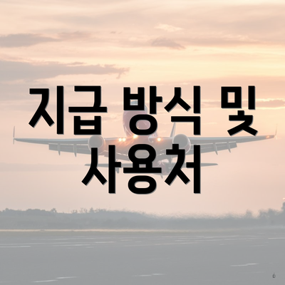 지급 방식 및 사용처