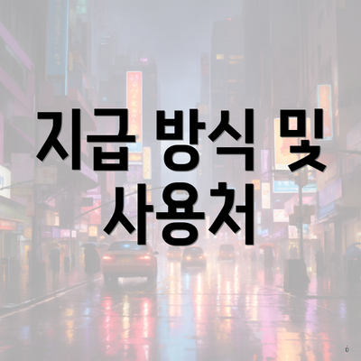 지급 방식 및 사용처