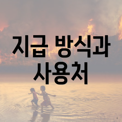 지급 방식과 사용처