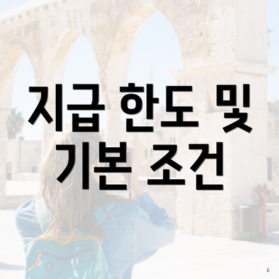 지급 한도 및 기본 조건