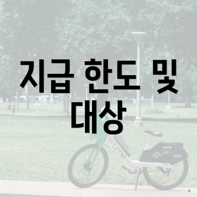 지급 한도 및 대상