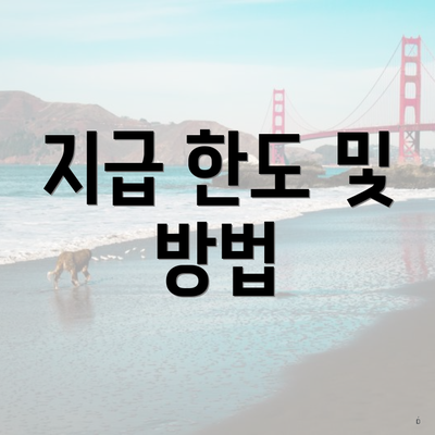 지급 한도 및 방법