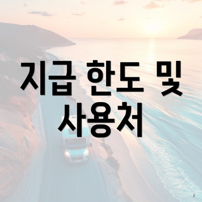 지급 한도 및 사용처