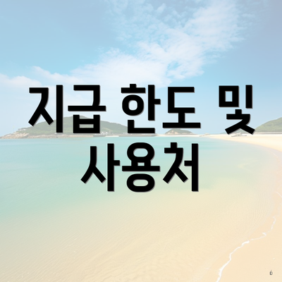 지급 한도 및 사용처