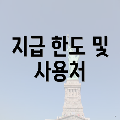 지급 한도 및 사용처