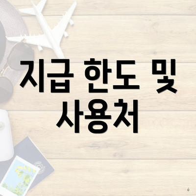 지급 한도 및 사용처