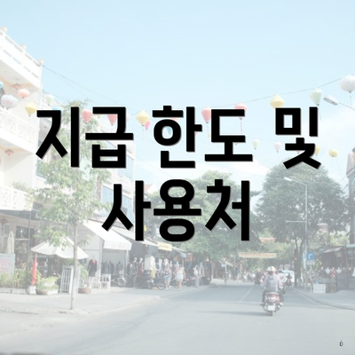 지급 한도 및 사용처