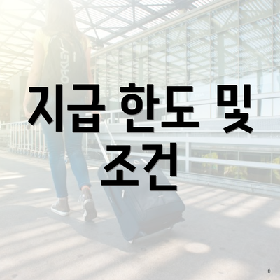 지급 한도 및 조건