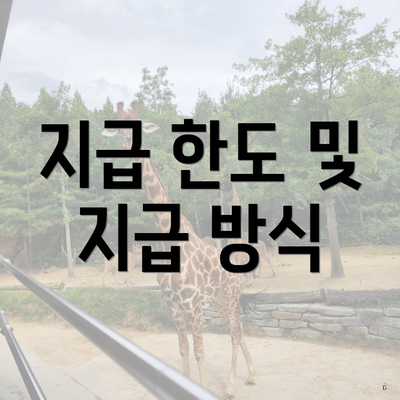 지급 한도 및 지급 방식