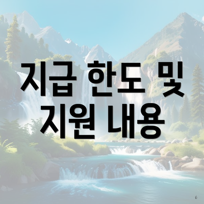 지급 한도 및 지원 내용