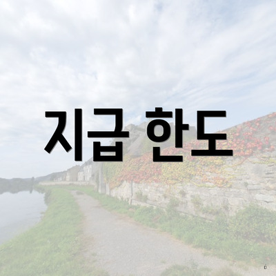 지급 한도