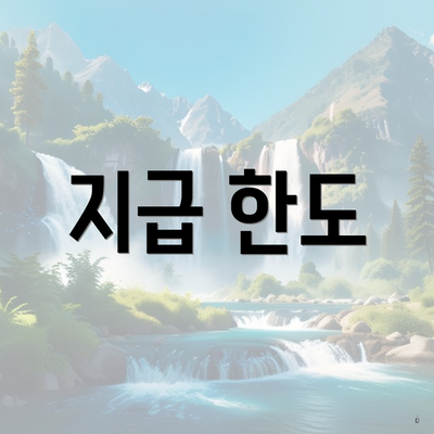 지급 한도