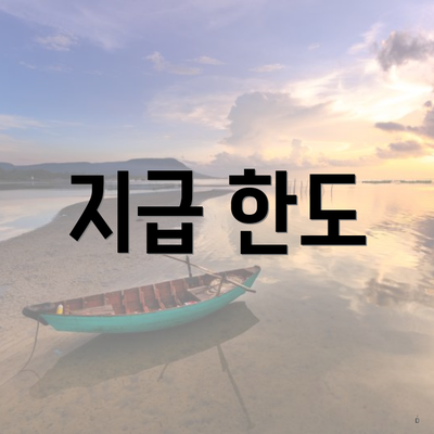 지급 한도