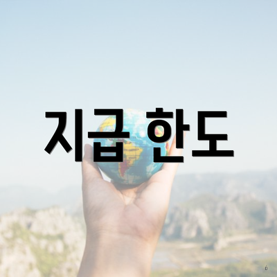 지급 한도