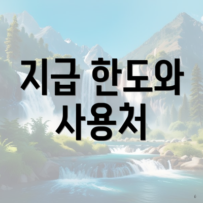 지급 한도와 사용처