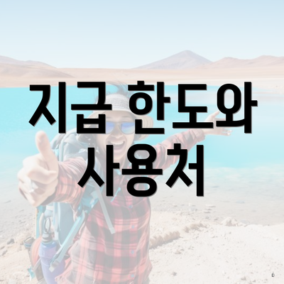 지급 한도와 사용처