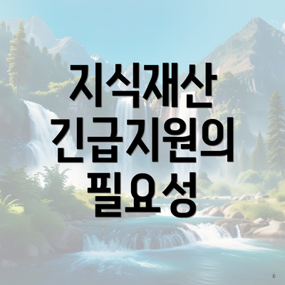 지식재산 긴급지원의 필요성