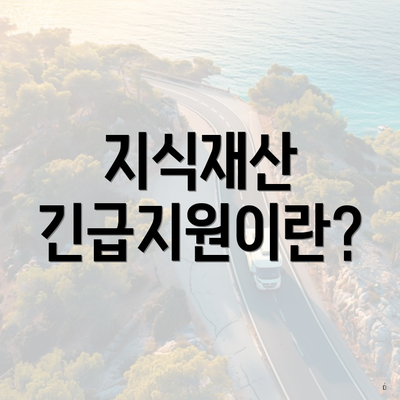 지식재산 긴급지원이란?
